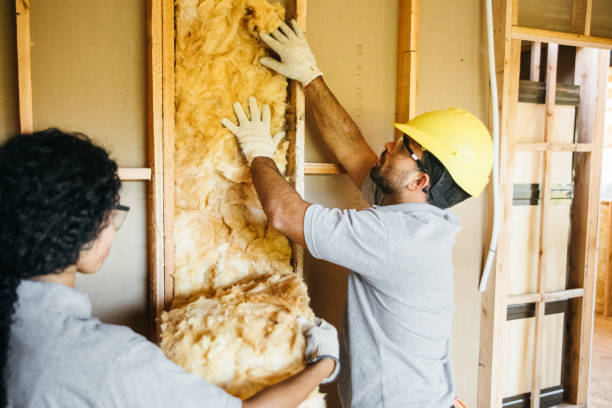 Best Insulation Replacement Services  in Washington, IA